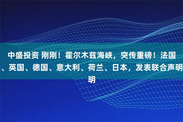 中盛投资 刚刚！霍尔木兹海峡，突传重磅！法国、英国、德国、意大利、荷兰、日本，发表联合声明